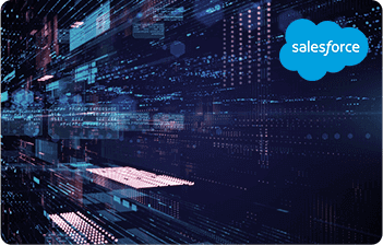 Salesforce Services by Vertex Computer Systems
