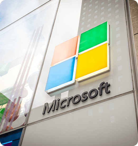 What are microsoft consulting services